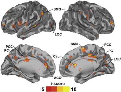 Fig. 1