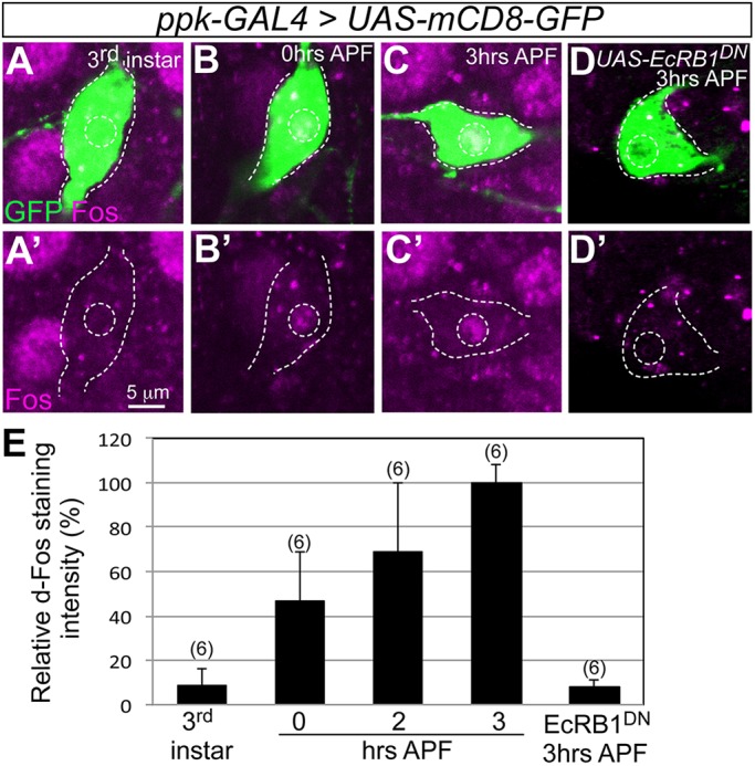 Fig. 4.