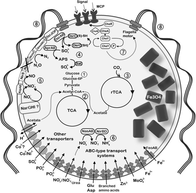 Figure 7