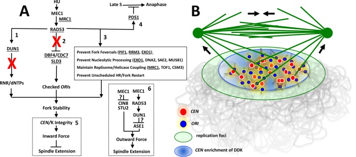 FIGURE 10: