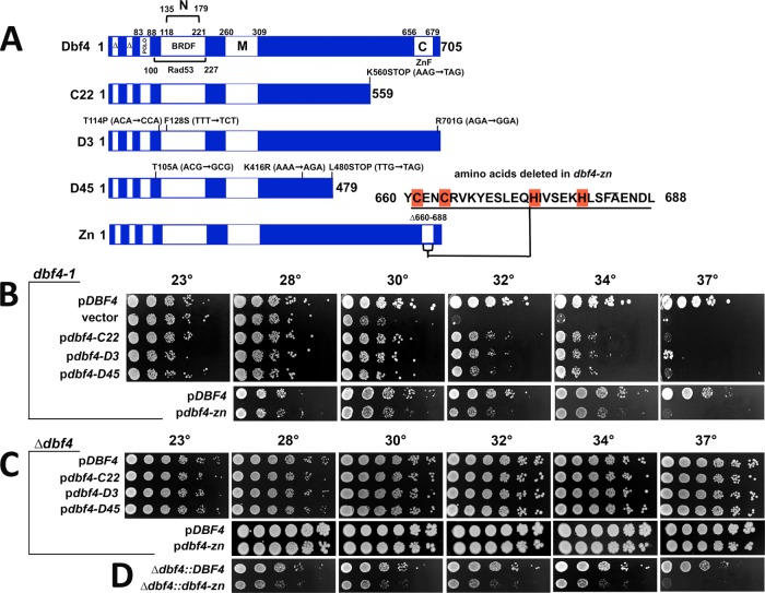 FIGURE 2: