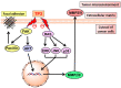 Figure 27