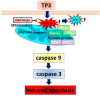 Figure 28