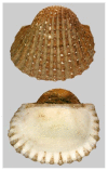 Figure 14