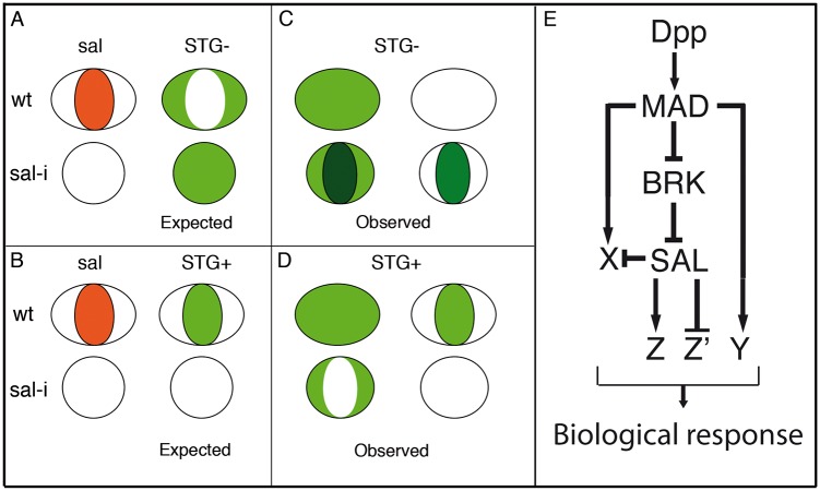 Fig 8