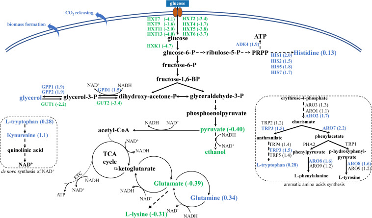 FIGURE 3