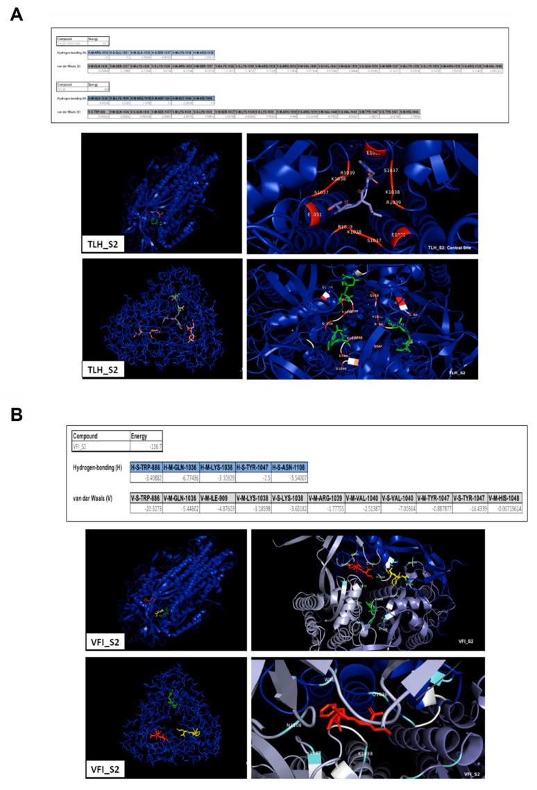 Figure 6