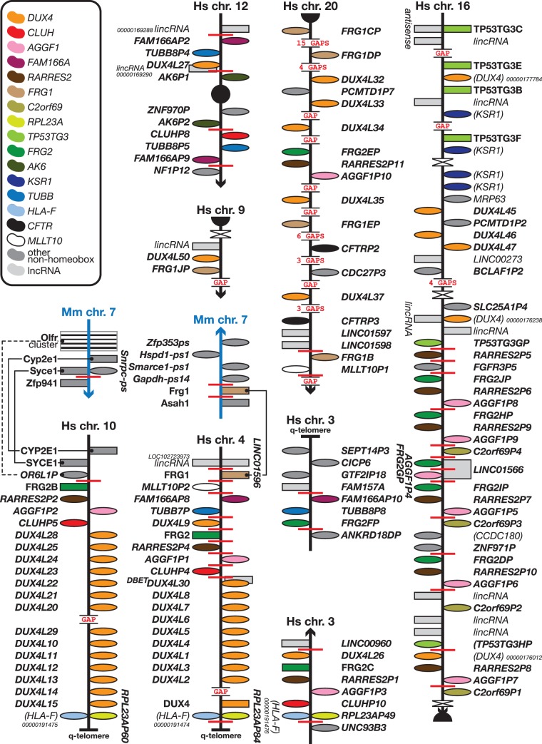 Figure 4.