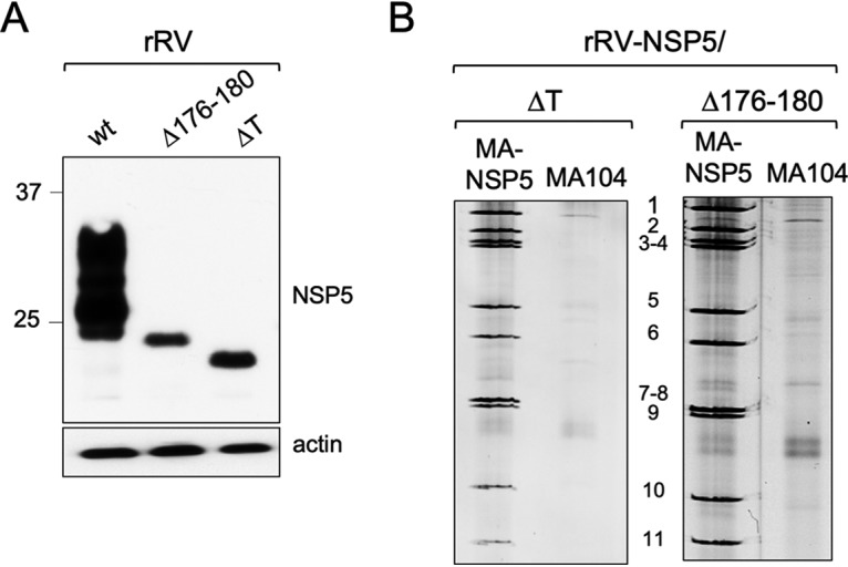 FIG 4