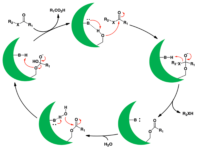 Scheme 1