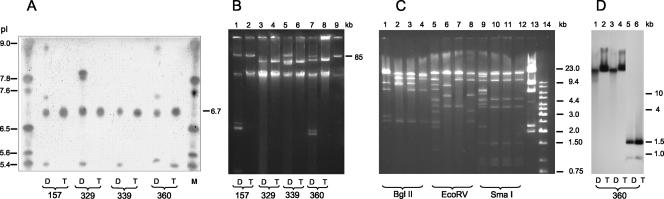 FIG. 1.