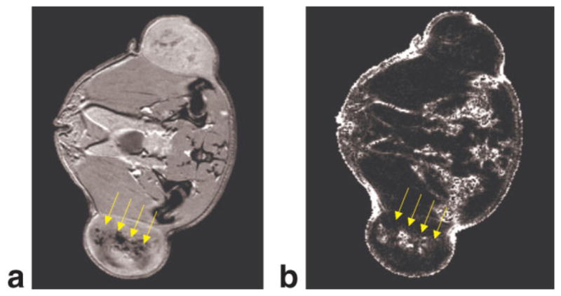 FIG. 7