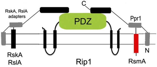 Fig. 6.