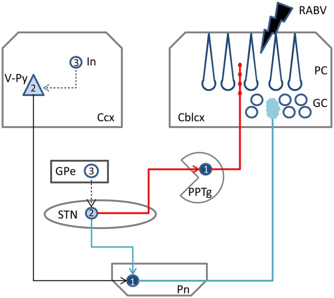 Figure 6