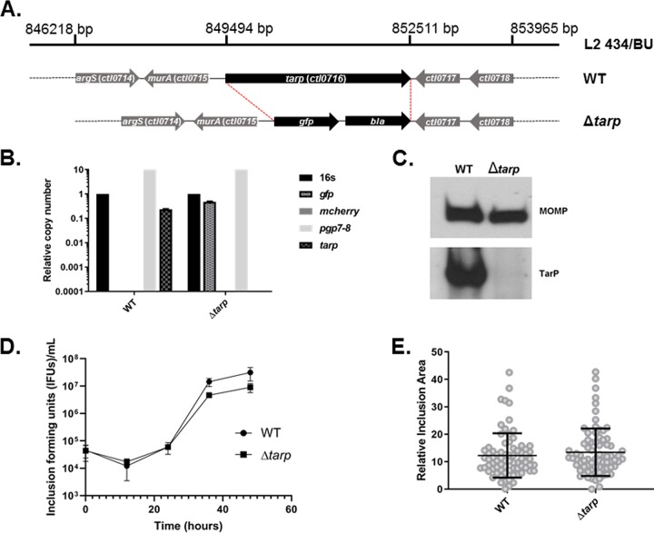 FIG 1