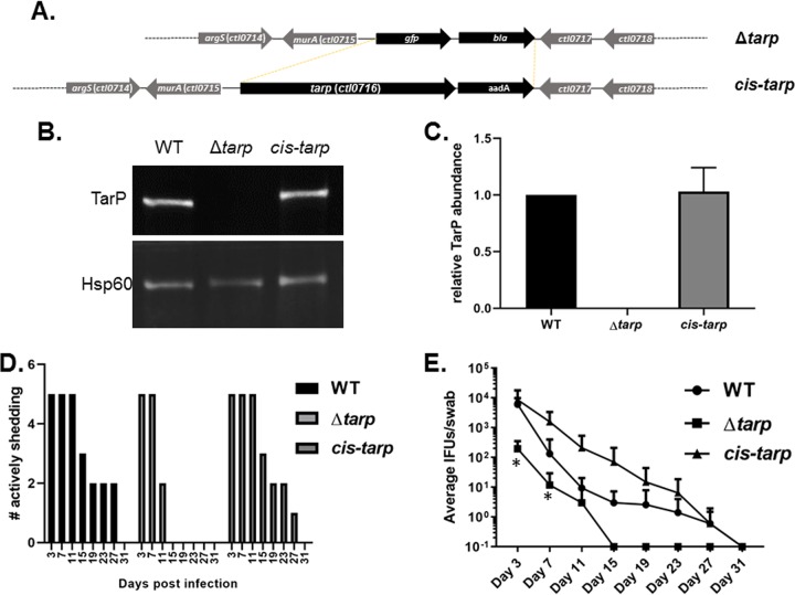 FIG 6