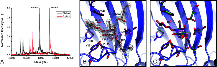 Fig. 2