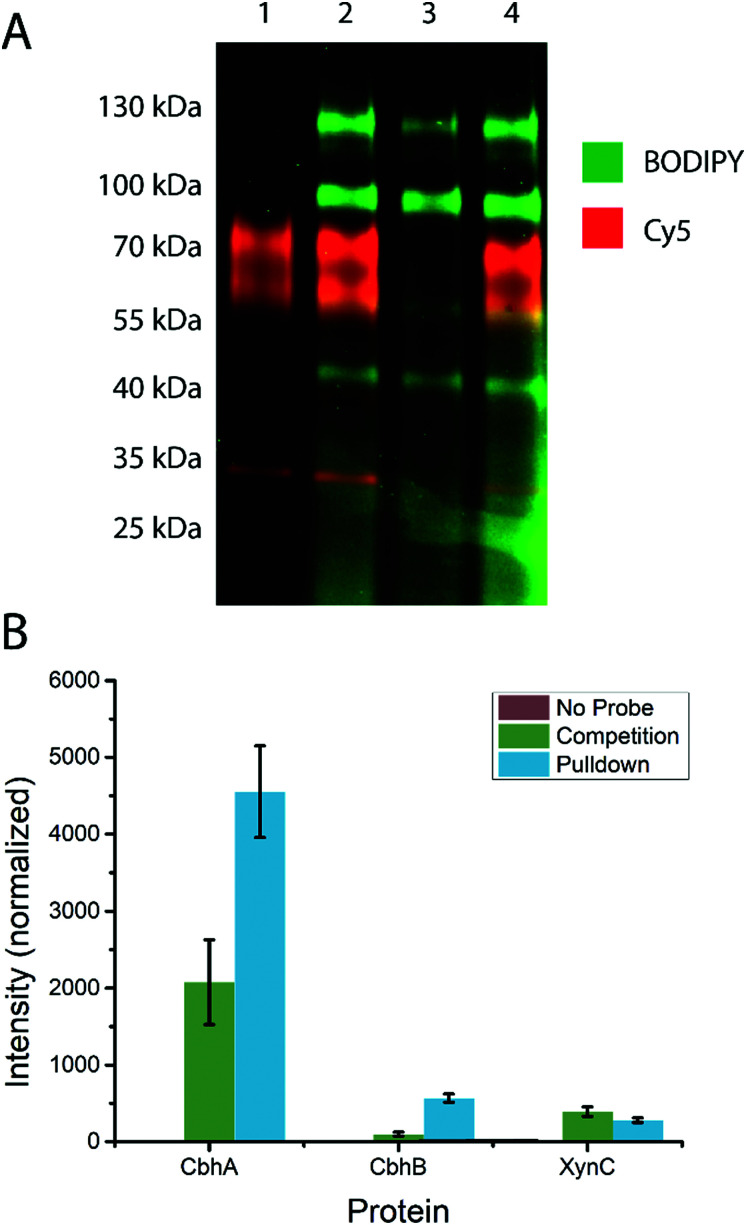 Fig. 3