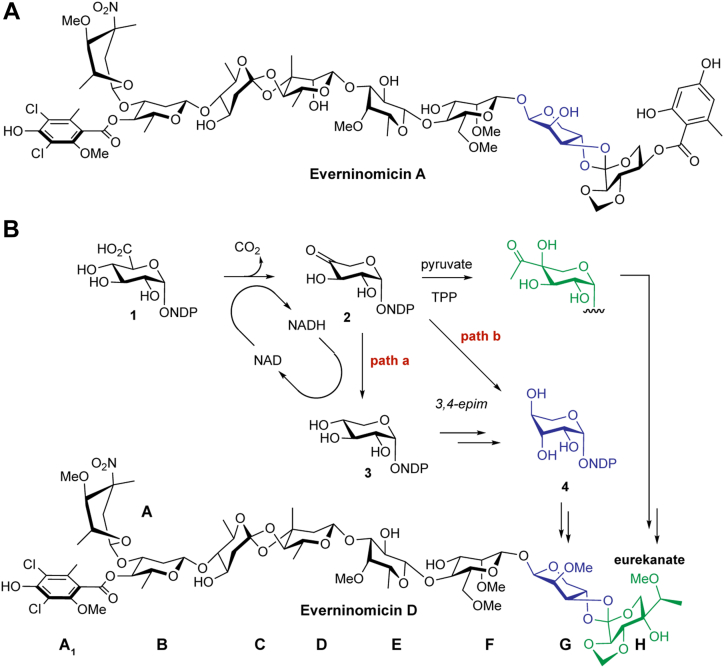 Figure 1