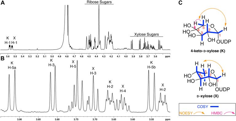 Figure 4