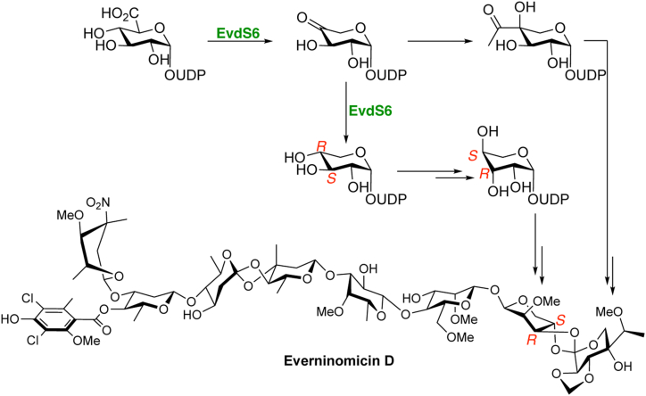 Figure 9