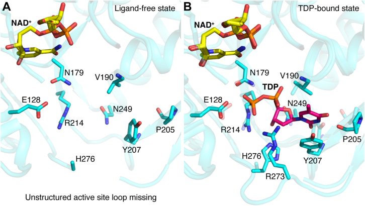 Figure 6