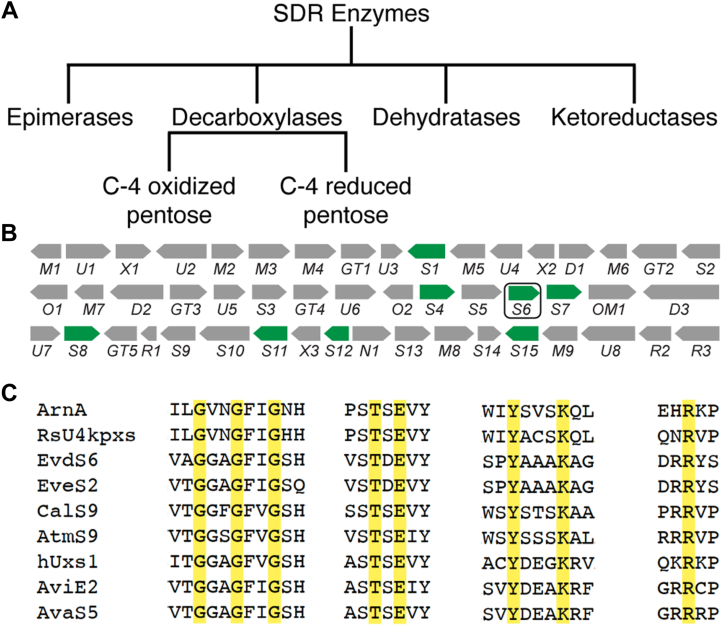 Figure 2