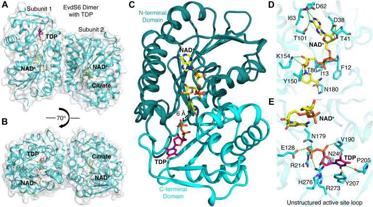 Figure 5