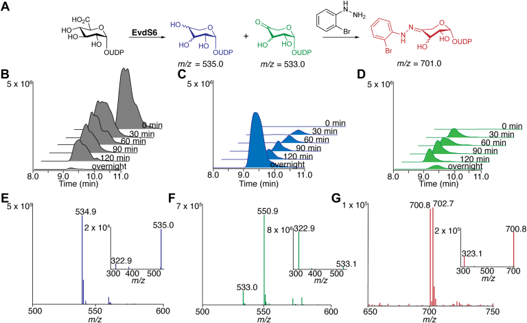 Figure 3