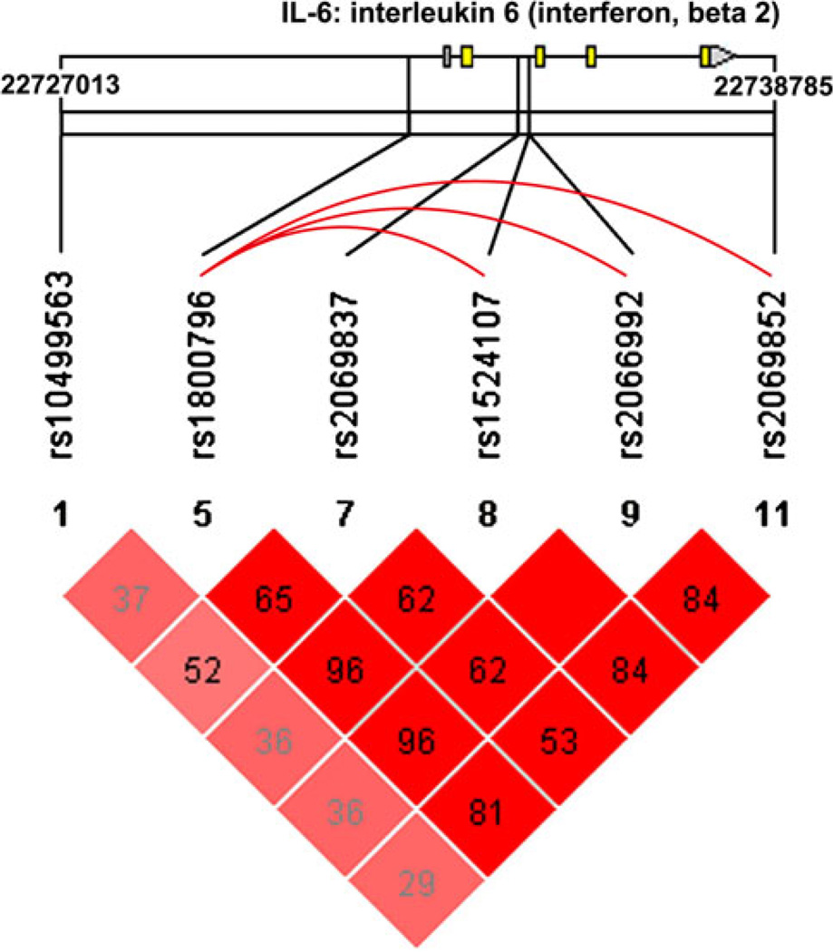 Fig. 1