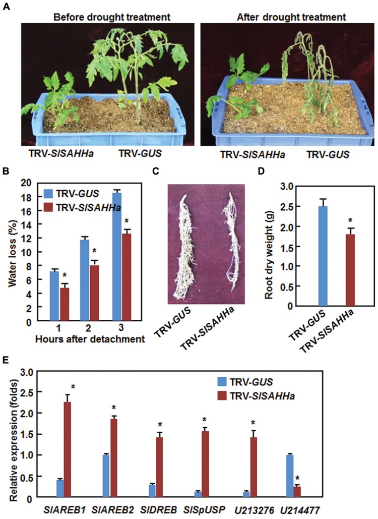 FIGURE 6