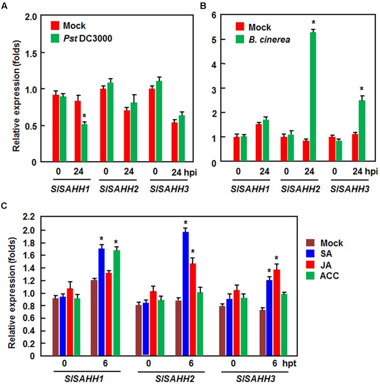 FIGURE 1