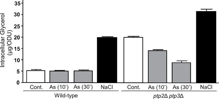 FIGURE 1: