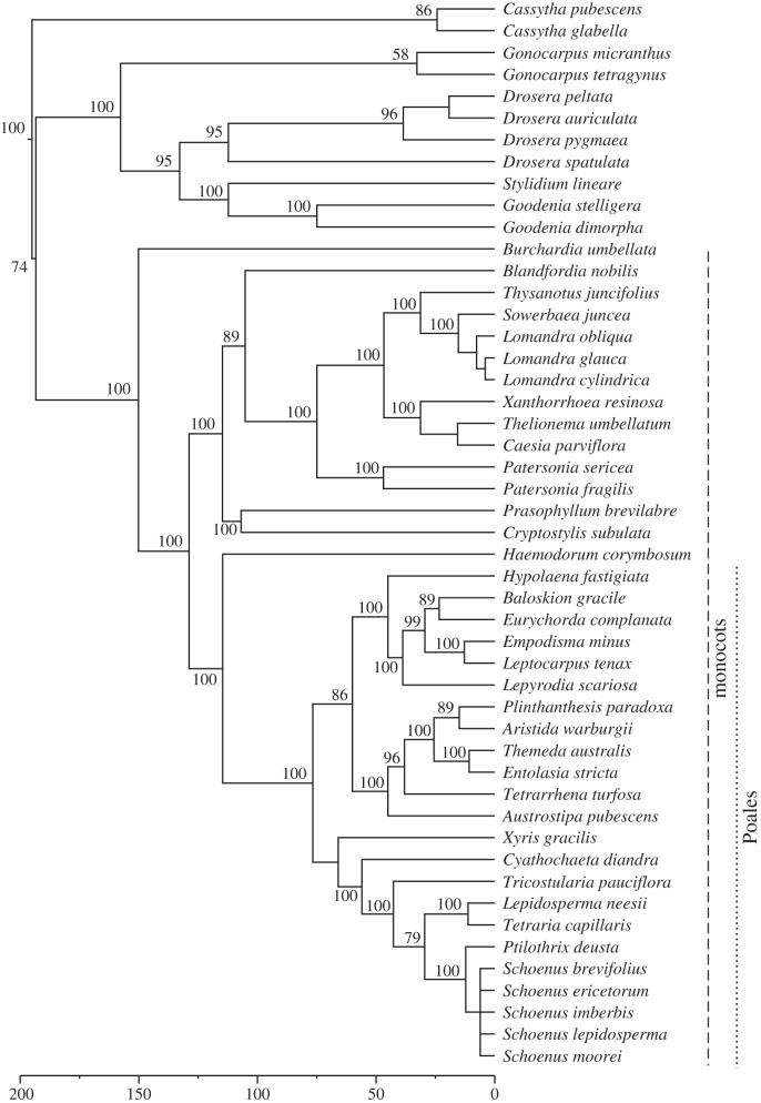 Figure 1.