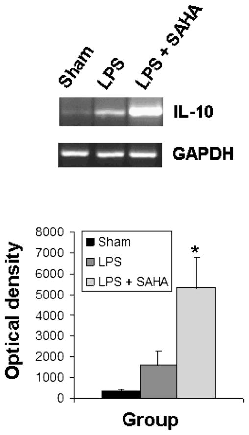 FIG. 6