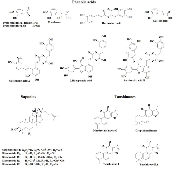 FIGURE 1