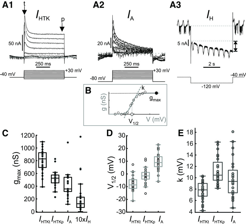 Figure 2.