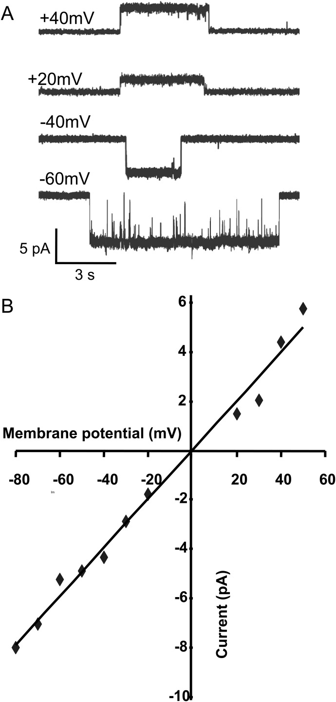 Fig. 5.