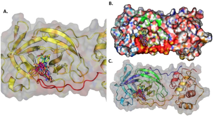 Fig. 15