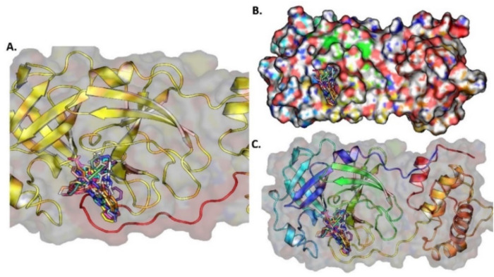 Fig. 16