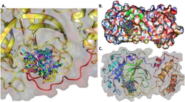 Fig. 13