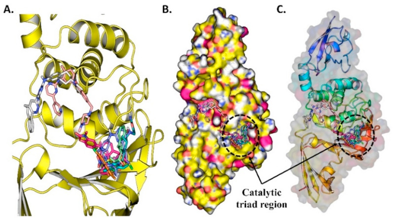 Fig. 9