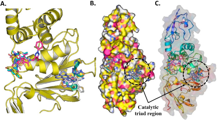 Fig. 11