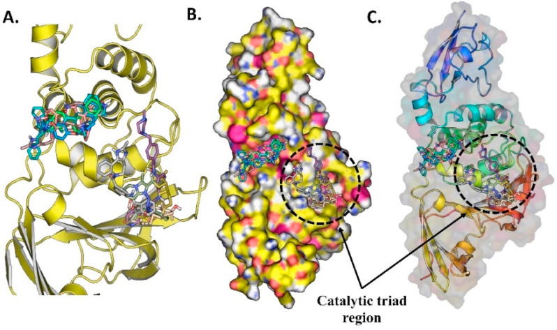 Fig. 8