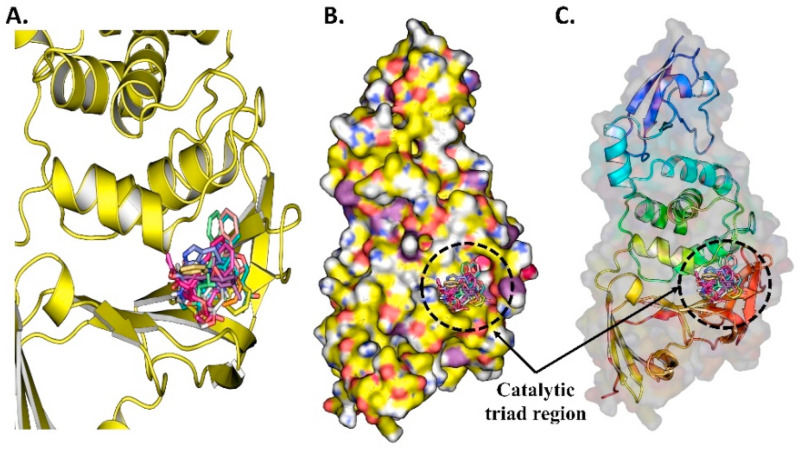 Fig. 10