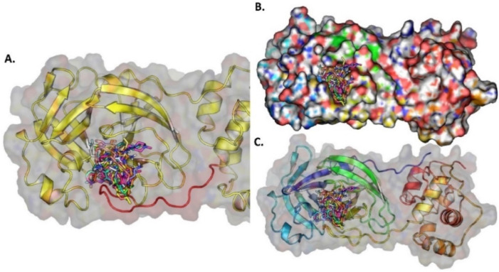 Fig. 14