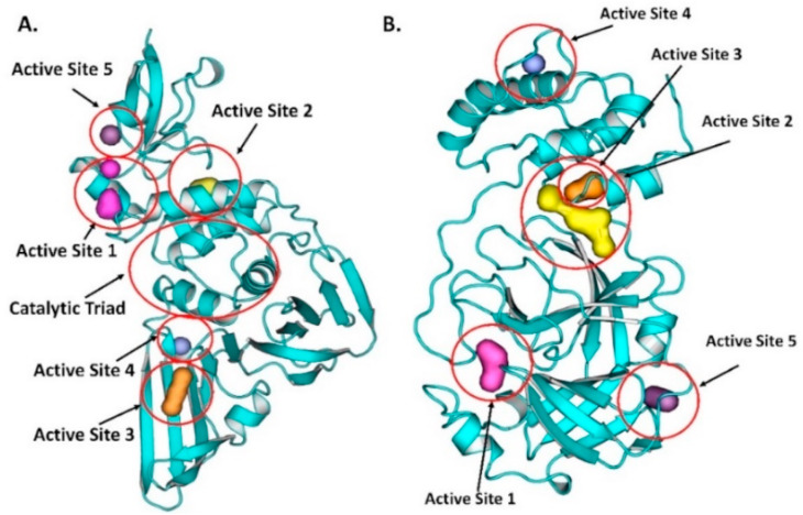 Fig. 4