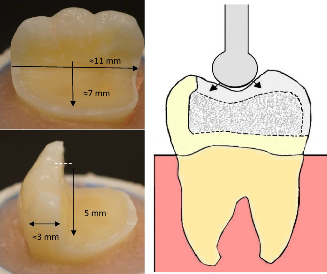 Fig. 1