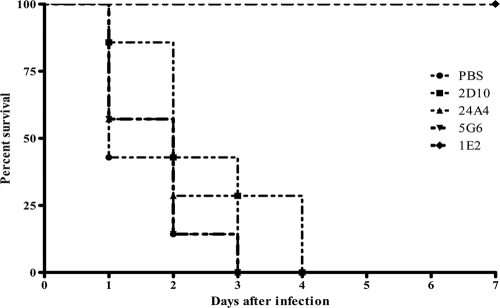 FIG. 5.