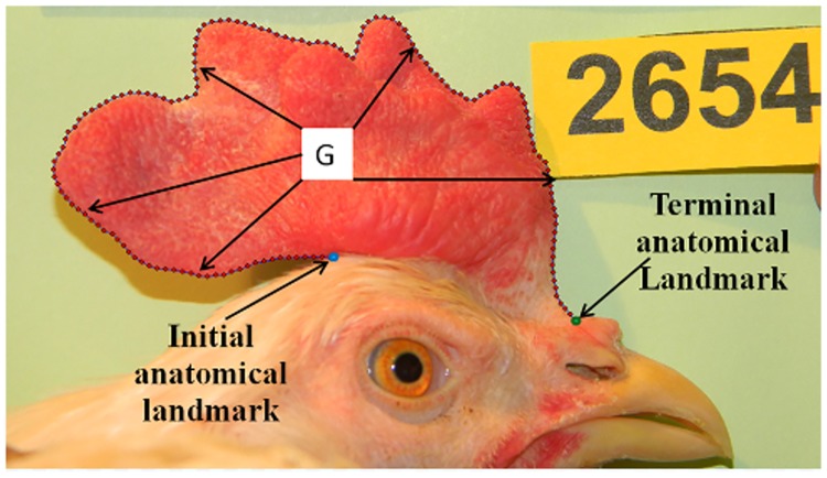 Fig 1